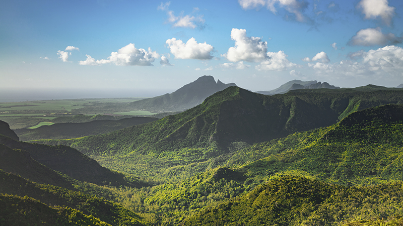 Mauritius Tree Planting